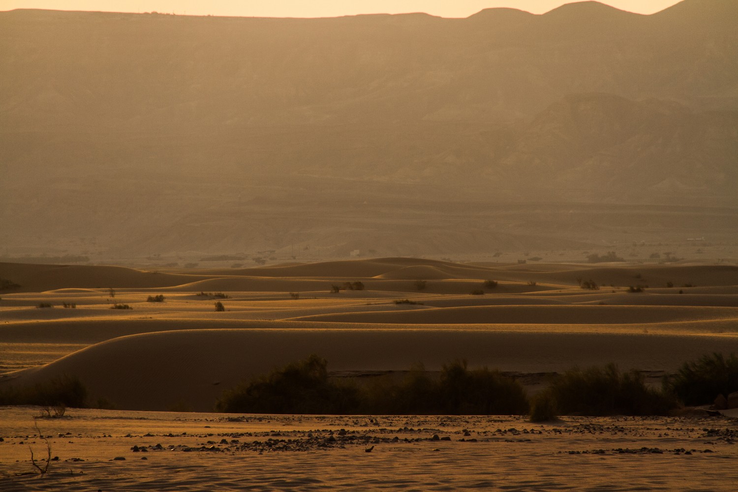 Aqaba Desert Dunes