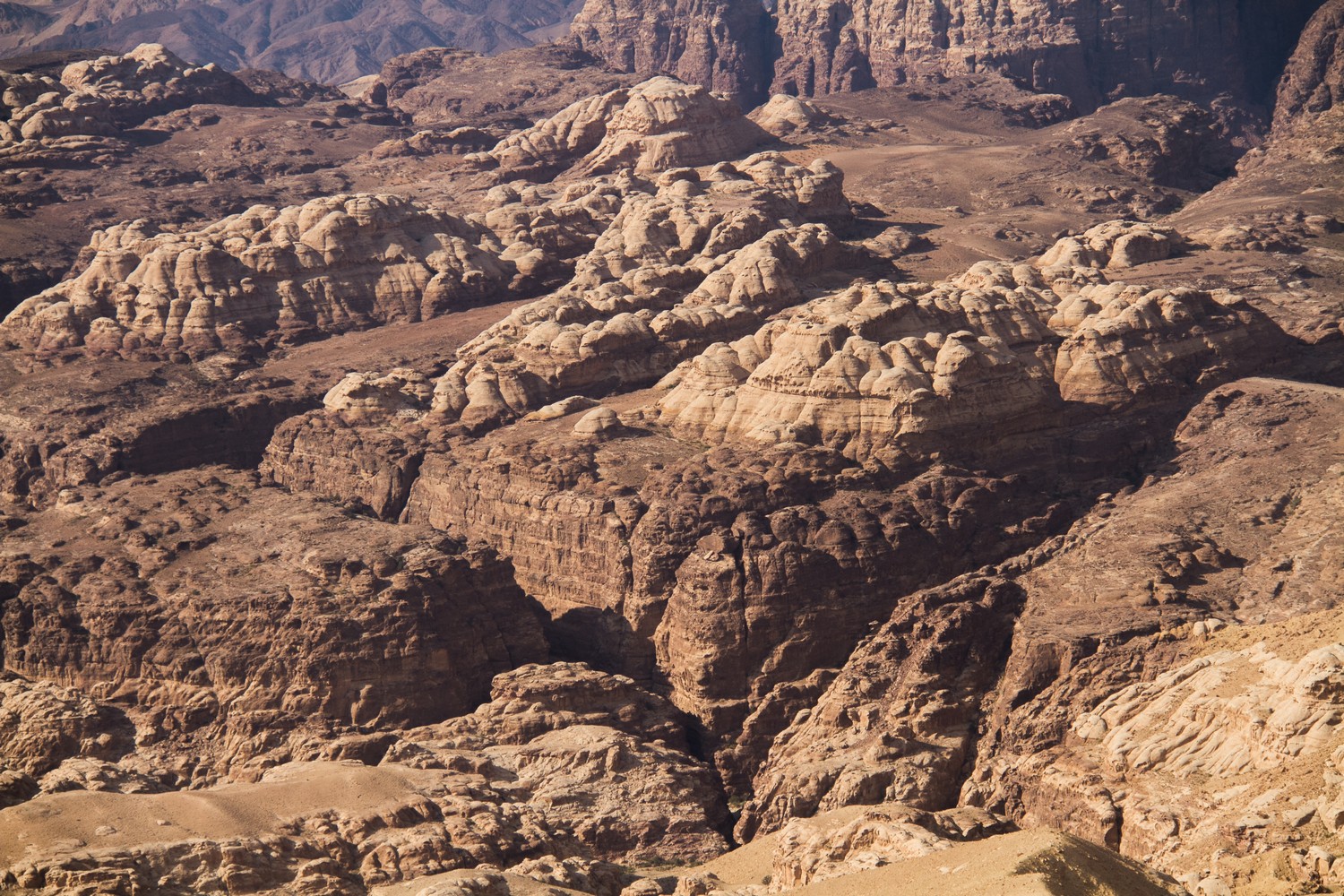 Petra Desert