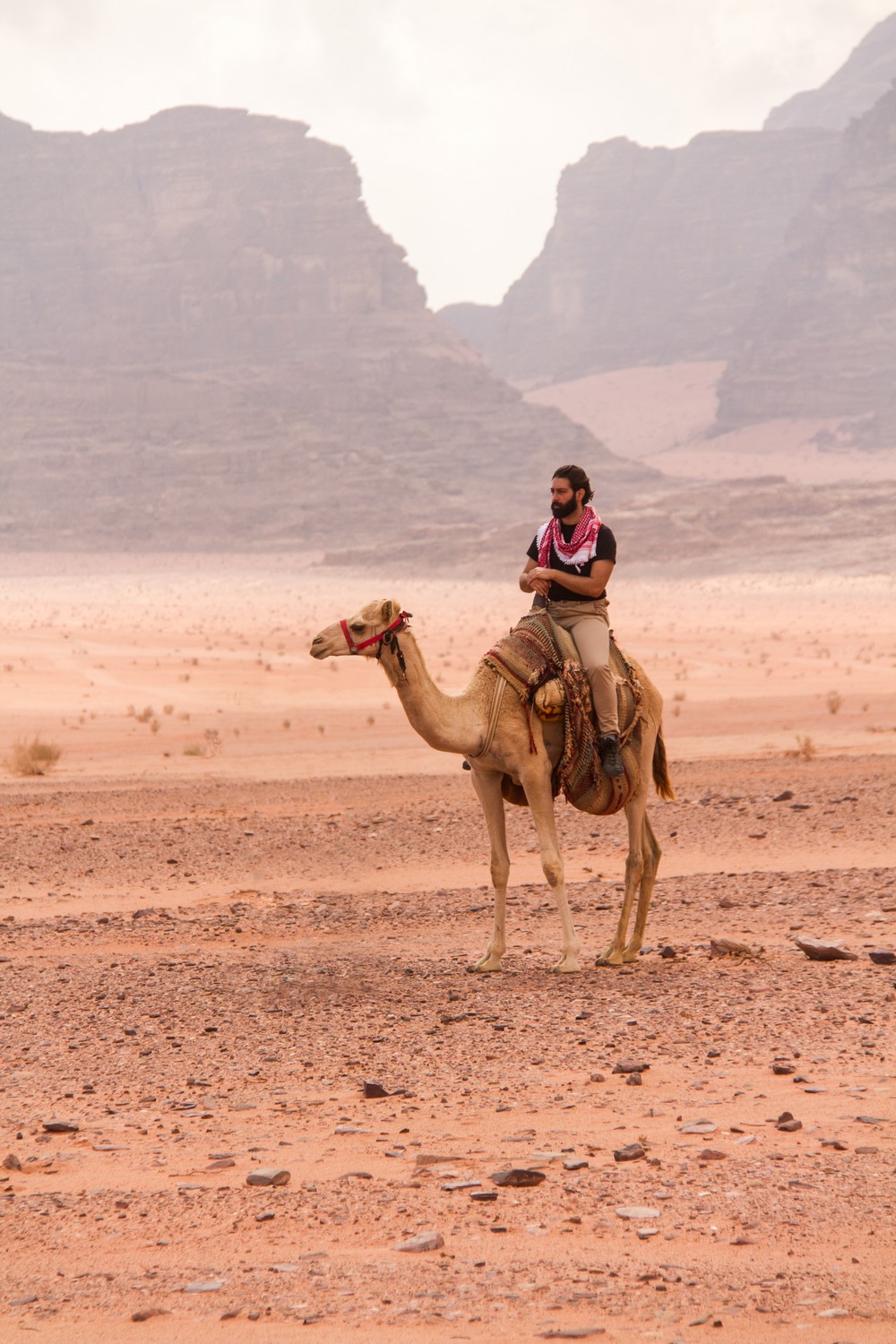 Wadi Rum Desert Camel Ride