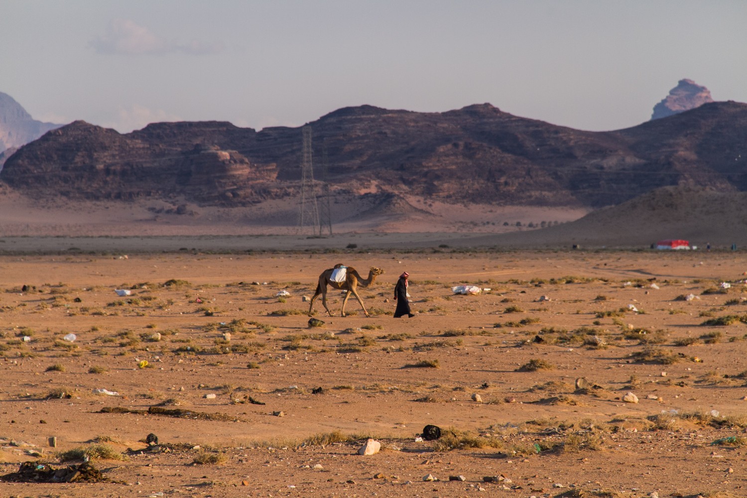 wadi rum beduin camel wastes