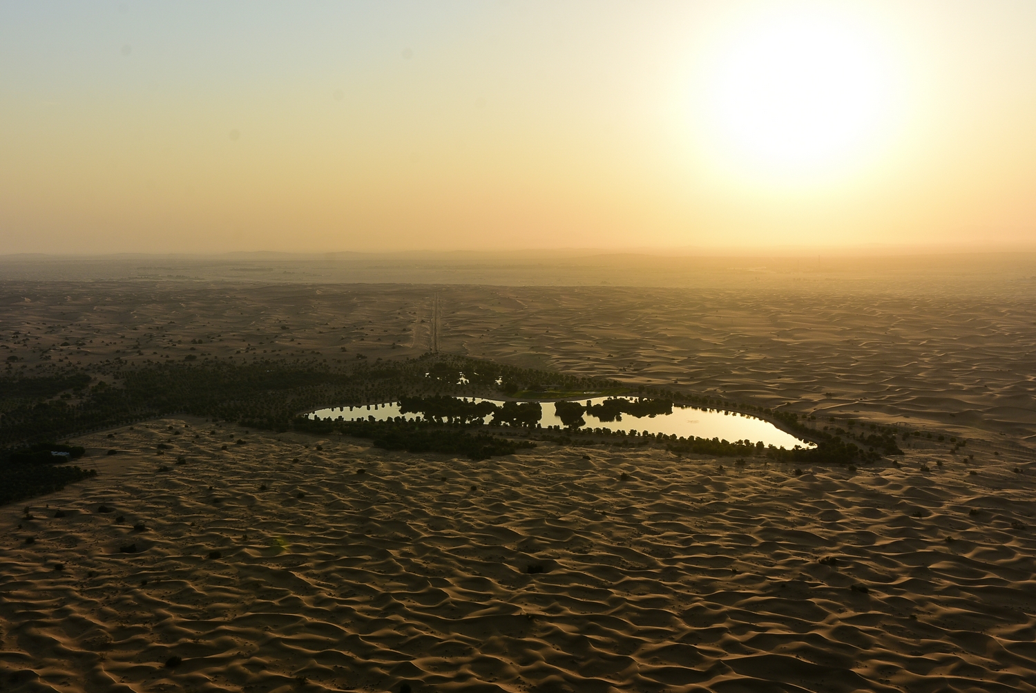 Dubai Desert Oasis