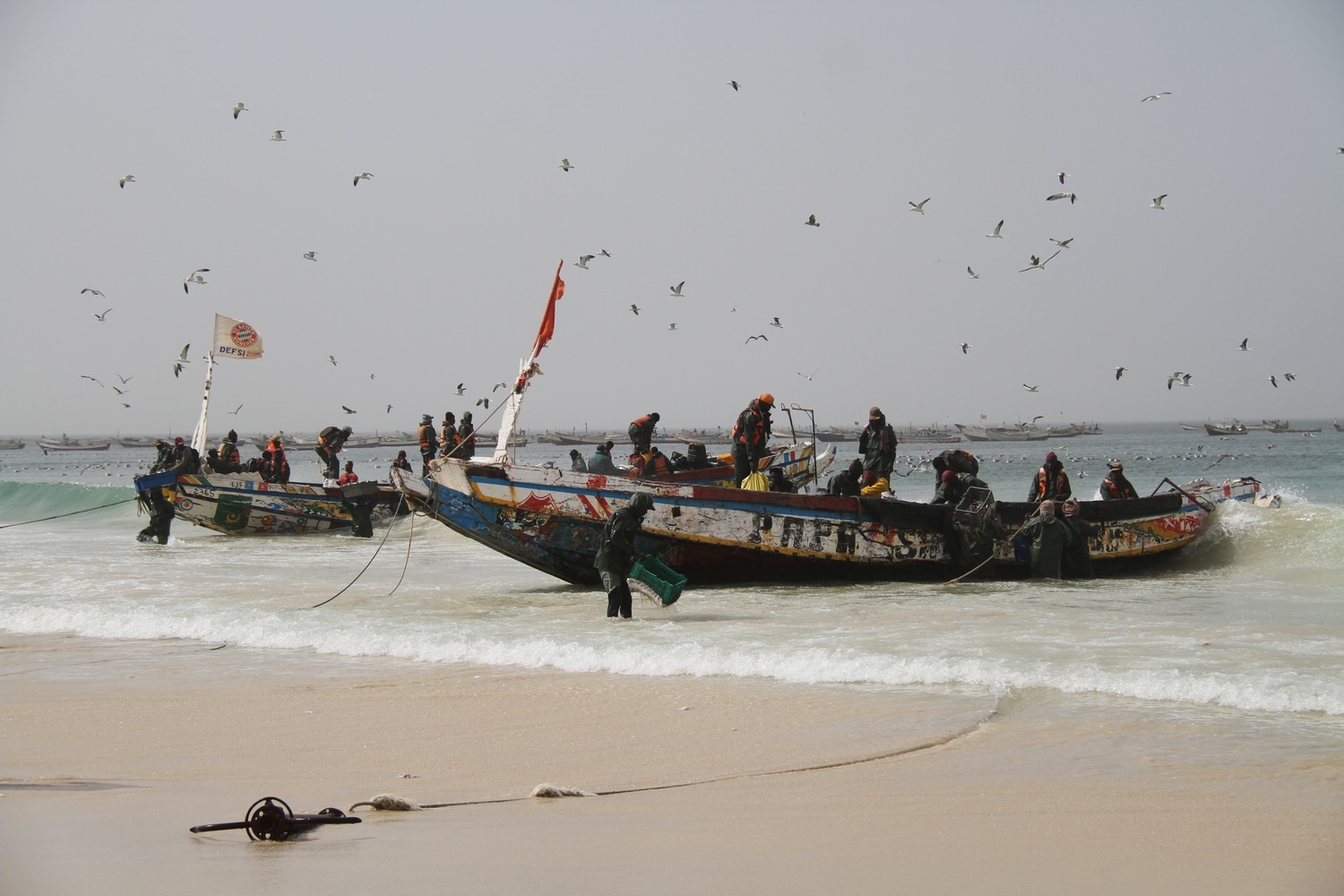 Nouakchott beach fishermen