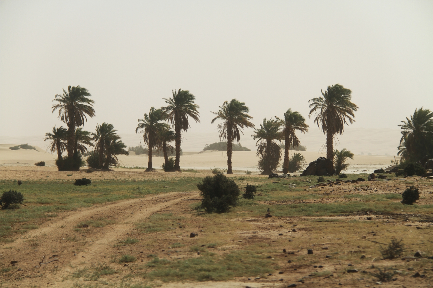 Mauritania-erg-amatlich-Adrar-Region-4x4-8