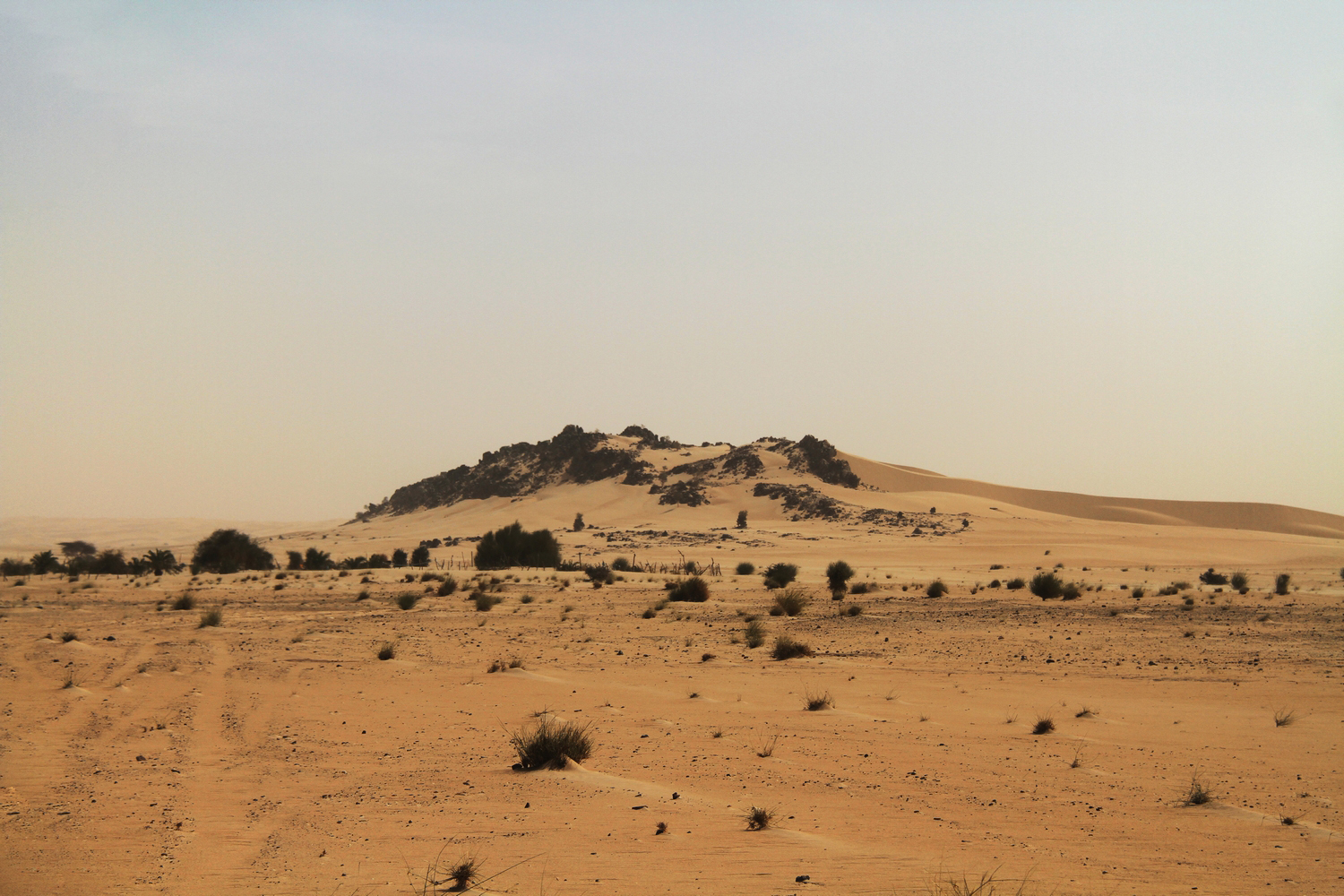 Mauritania-erg-amatlich-Adrar-Region-4x413