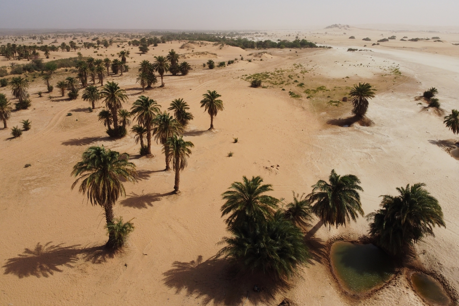 Mauritania-erg-amatlich-Adrar-Region-4x4-8