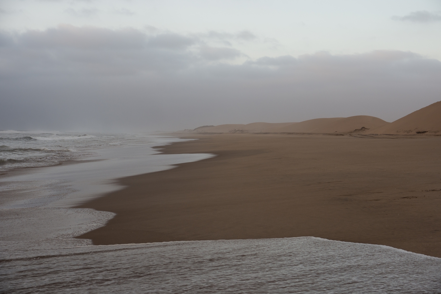Wheere the Namib Desert meets the Atlantic Ocean swim