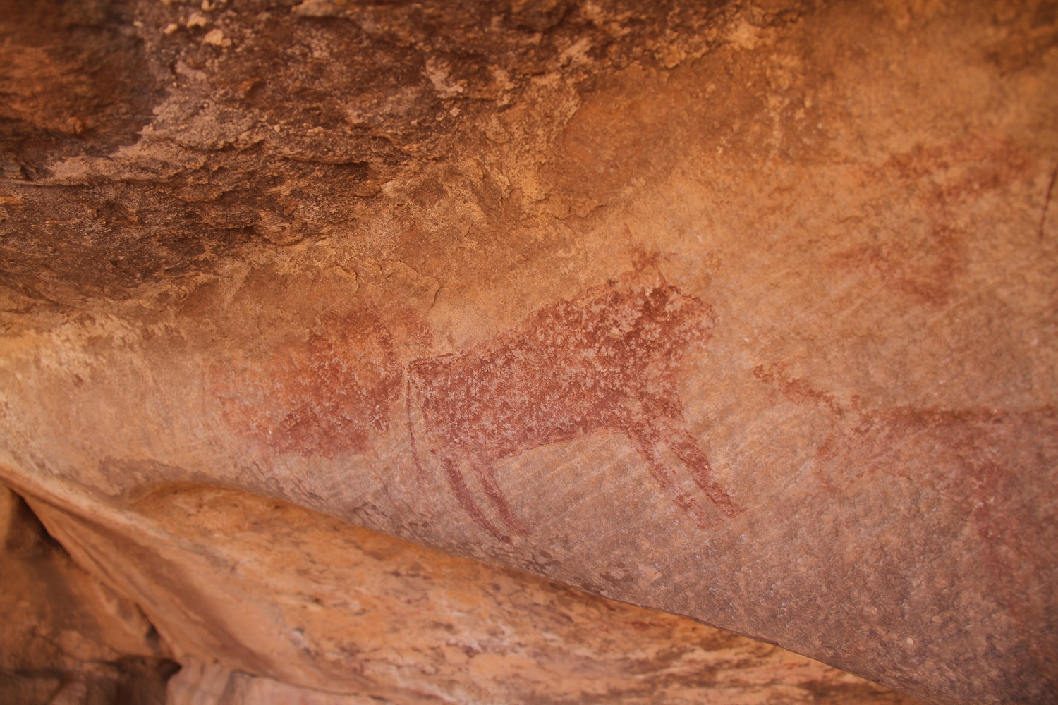 Agrour-Amogjar-Neolithic-rock-paintings5