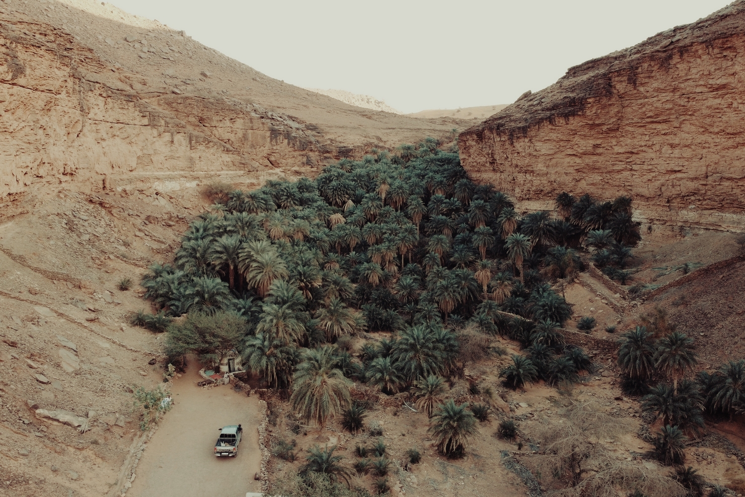 Terjit-Oasis-Atar-Mauritania-Adrar-Palm-Grove